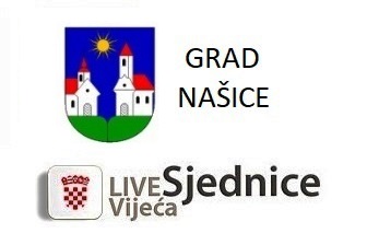 Grad Našice, Sjednica Gradskog vijeća
